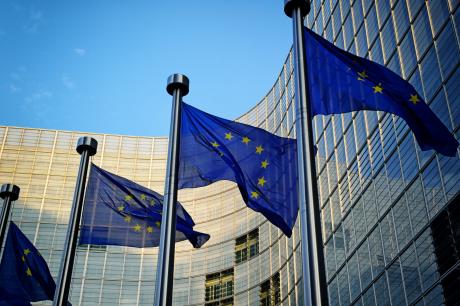 EU flags